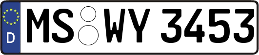 MS-WY3453
