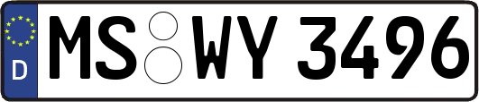 MS-WY3496
