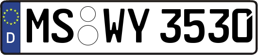 MS-WY3530