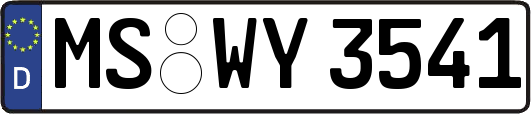 MS-WY3541