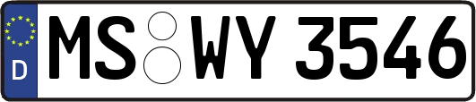 MS-WY3546
