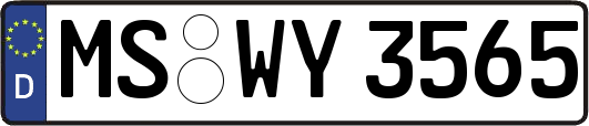 MS-WY3565