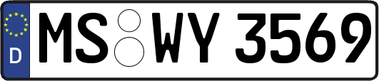 MS-WY3569