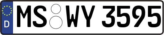 MS-WY3595