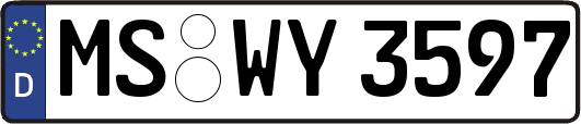 MS-WY3597