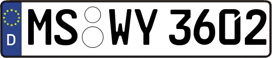 MS-WY3602
