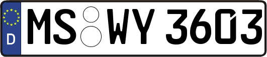 MS-WY3603