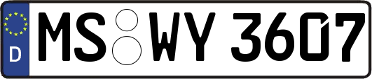 MS-WY3607