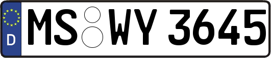 MS-WY3645