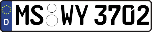 MS-WY3702