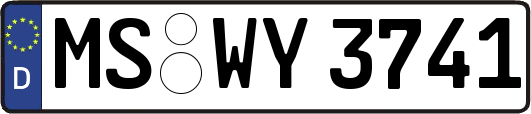 MS-WY3741