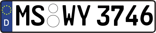 MS-WY3746