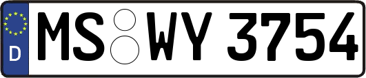 MS-WY3754