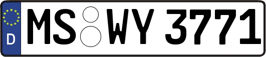 MS-WY3771