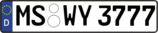 MS-WY3777