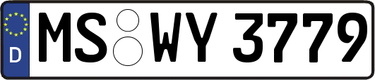 MS-WY3779