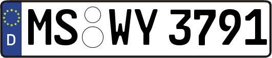 MS-WY3791