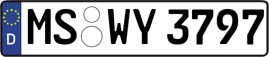 MS-WY3797