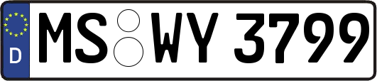 MS-WY3799
