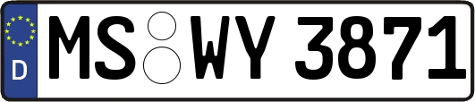 MS-WY3871