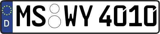 MS-WY4010