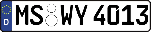 MS-WY4013