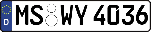 MS-WY4036