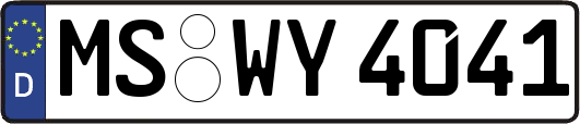 MS-WY4041