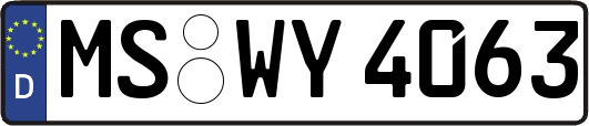 MS-WY4063
