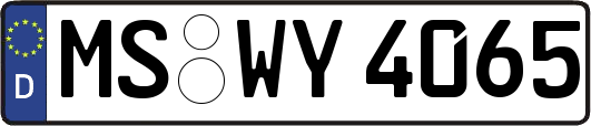 MS-WY4065