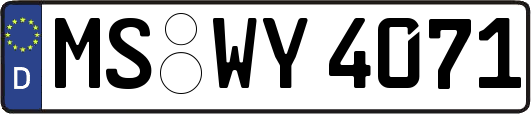 MS-WY4071