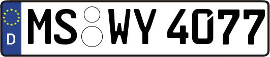 MS-WY4077