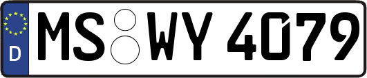 MS-WY4079