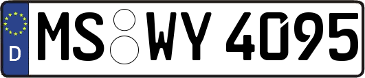 MS-WY4095