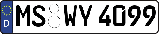 MS-WY4099