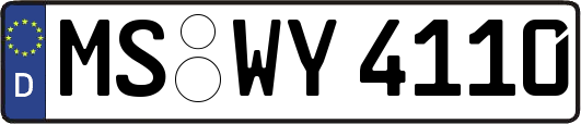 MS-WY4110
