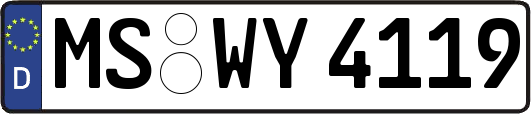 MS-WY4119