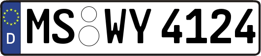 MS-WY4124