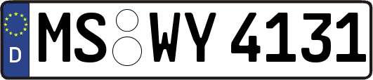 MS-WY4131
