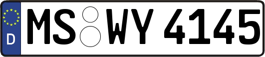 MS-WY4145
