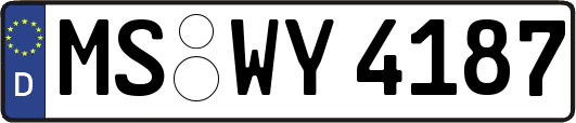 MS-WY4187