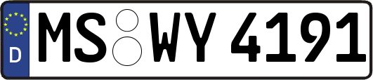 MS-WY4191
