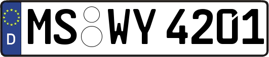 MS-WY4201