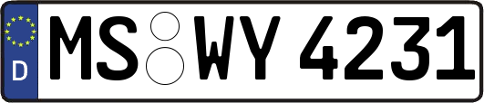 MS-WY4231
