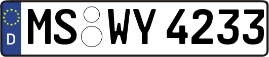 MS-WY4233