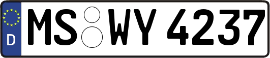 MS-WY4237