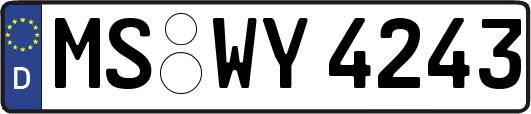 MS-WY4243