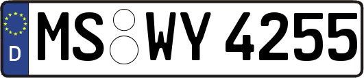 MS-WY4255