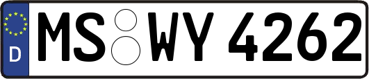 MS-WY4262
