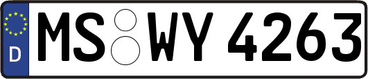 MS-WY4263